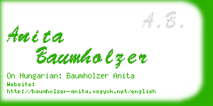 anita baumholzer business card